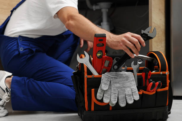 Best Plumbing Inspection Services  in Cresco, IA